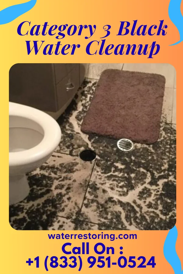 Category 3 Black Water Cleanup in Mountville, PA